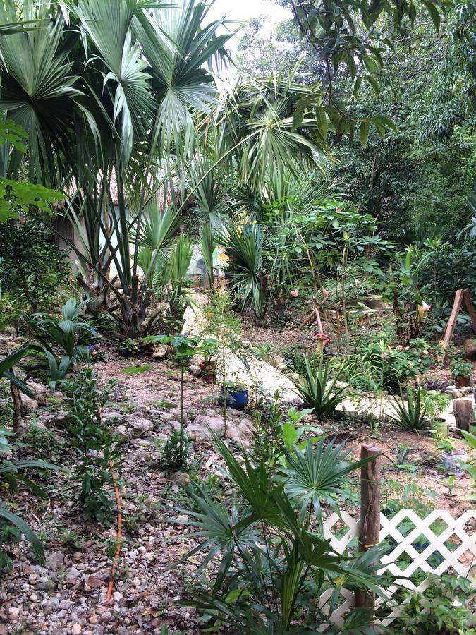 Mayan Bungalow Near Chichen Exterior photo